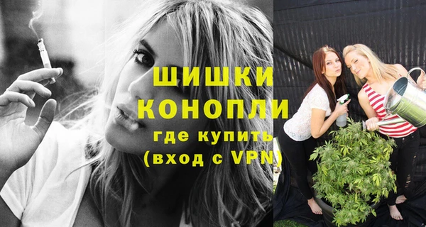 прущий лед Весьегонск