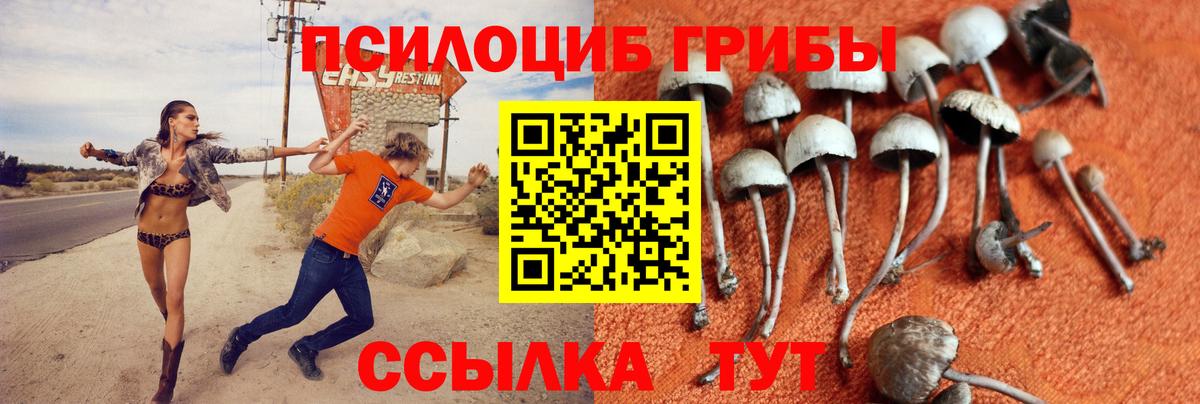 Клин  Галлюциногенные грибы GOLDEN TEACHER  Вход с VPN 