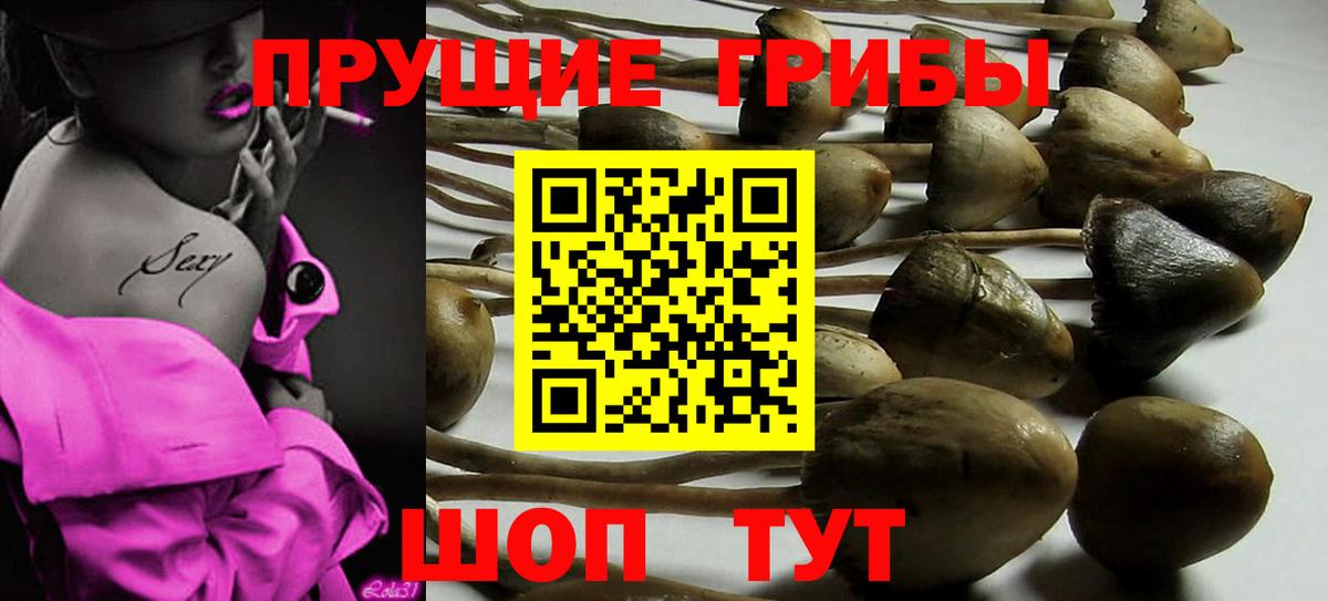 Галлюциногенные грибы мицелий Клин