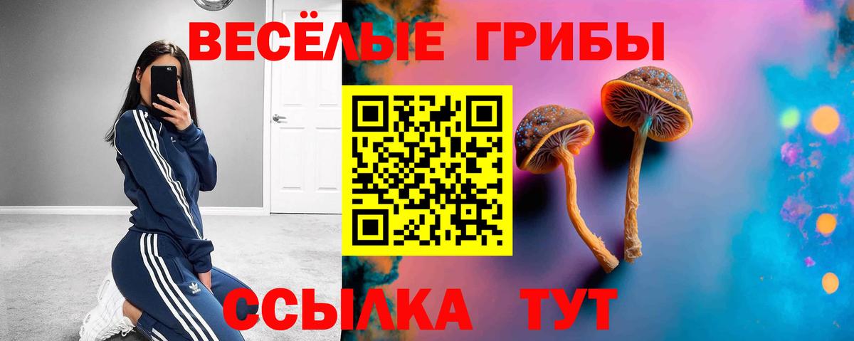 Галлюциногенные грибы Magic Shrooms Клин