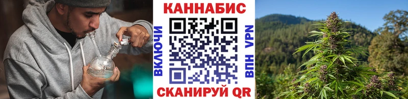 Бошки марихуана марихуана Клин